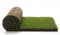 Pratoerboso - Fertigrasen aus natürlichem Echtgras, Gartengras, 40 cm x 123 cm, echte Pflanze