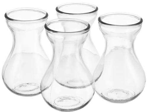 4 Stück Durchsichtige Vasen aus Glas, Kleine Glasvasen für Blumen | Breite Vase, Kreative Form für Hydrokultur und Trockenblüten, Stabile Ausführung