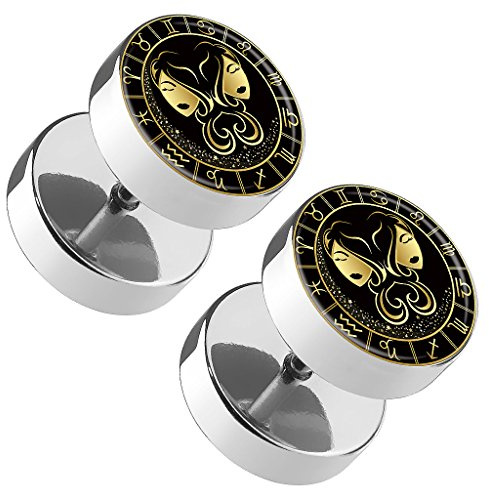 Piercingfaktor 1 Paar Fake Piercing Ohrringe Plug mit Tierkreiszeichen