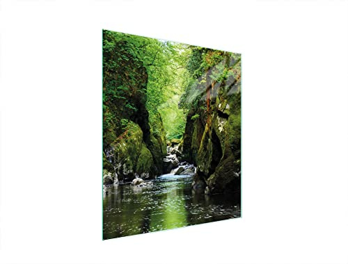 DarHaus Herdabdeckplatte einteilig 45x52 cm Ceranfeld Abdeckung Glas Spritzschutz Abdeckplatte Glasplatte Herd Ceranfeldabdeckung Deko, Landschaft Wald