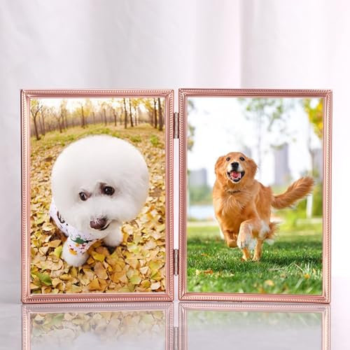 Calefee Bilderrahmen 21x30, Fotorahmen für 2 Fotos Aufstellen Metall, Fotorahmen Hochformat für Familie Bilder, 1 Stück