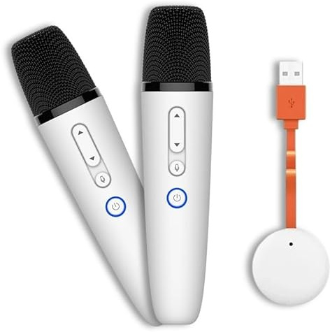 BYD Dual Wireless Karaoke Microphones