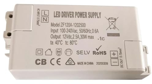 NIWPPKIMX Adaptateur AC/DC ZF120A-1202500 12VDC 30W, Ballast de Pilote LED for plafonniers, Lampes fluorescentes enterrées, 2 Paquets