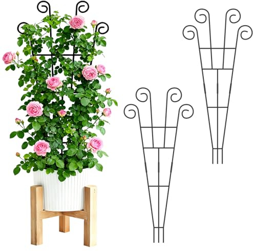 WELDUN Paquete de 2 enrejados para plantas trepadoras de 75 cm para plantas trepadoras, plantas en maceta de interior y exterior, estaca de soporte de metal para verduras, rosas y vides