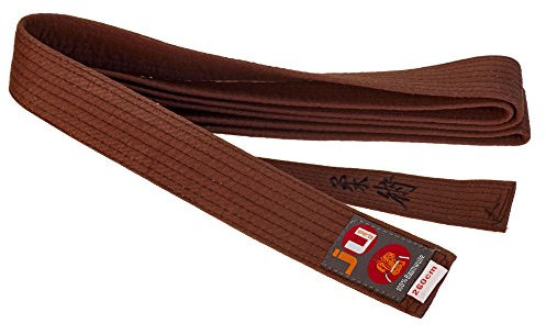Budogürtel braun mit Bestickung Ju-Jutsu (Japanisches Kanji)