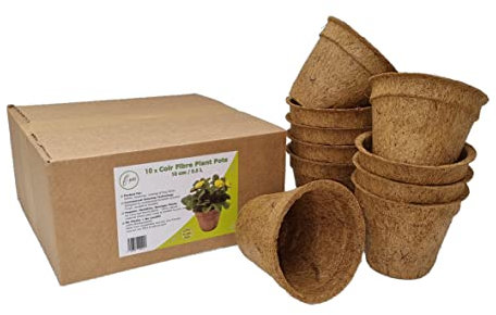 Coir Plant Pots | Each 0.5L 10cm | Pack of 10 in box | Eco-friendly, Plastic Free, Compostable | Made From Coco Fibre & Natural Rubber | Seed Seedlings Cuttings Propagation Salad Vegetable Herb Flower