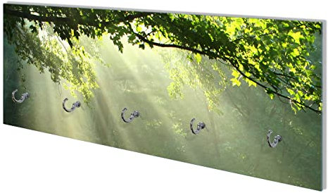 Wallario Wandgarderobe aus Glas in Größe 80 x 30 cm mit Memoboard-Funktion, Motiv: Sonnenstrahlen im Wald | 5 Kleiderhaken zum Aufhängen von Jacken