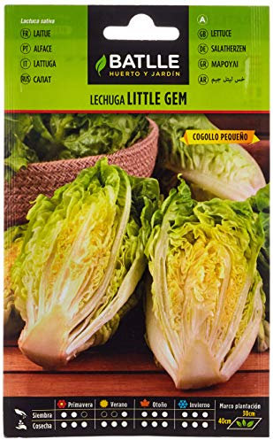Batlle Gemüsesamen - Herzsalat Little gem cogollo (800 Samen)