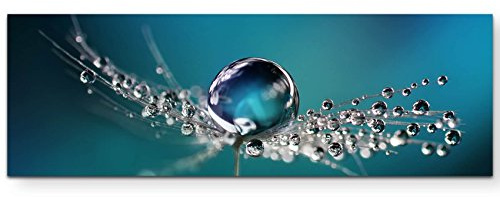 Paul Sinus Art Leinwandbilder | Bilder Leinwand 120x40cm Wassertropfen auf einer Pusteblume