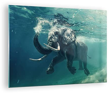 ARTTOR Bilder auf Glas 70x50cm Wandbild Glasdruck Natur Tiere - 3944 | Elefant Tier Wasser Klein Modern Dekoration Wohnzimmer Schlafzimmer Küche Wanddeko Kunstdruck Art Wall Decor ARTTOR