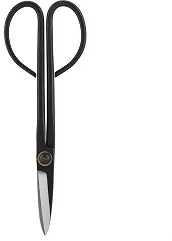 Forbici da potatura bonsai - Forbici da potatura bonsai in acciaio professionali da 200 mm per disporre fiori, potare piante, radici, rami, attrezzo da potatura, taglierina da giardino