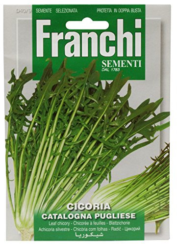 Franchi Chicory Catalogna of Pugliese