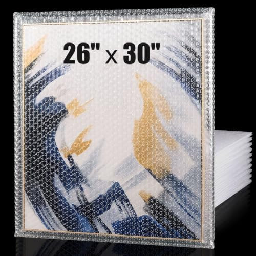 Dunzoom 10 Pack 26*30 Inch Extra Large Bubble Pouches for Packing Shipping | Bubble Bag Protect Shockproof Cushion for Moving Shipping, Artwork Fragile Dish Plate Mirror TV Musical Instrument Electronic