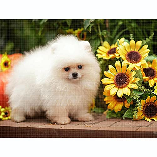 kreuzstich stickpackungen vorgedruckt bilder kinder erwachsene anfanger Eichhörnchen Hund Tier kreuzstich set diy 11ct Baumwolle Stoff Vorsortierte Garne SchlafzimmerInnendekoration (40×50cm)
