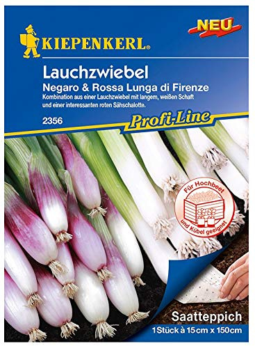 Saatteppich Lauchzwiebel Negaro, Rossa, Lunga di Firenze (15cm x 150cm)