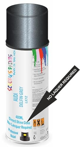 Aerosol Spray Paint Compatible with Audi Dolphin Grey Pearl LX7Z / F5 Available in Direct Gloss, Cellulose or Basecoat (Direct Gloss Aerosol)