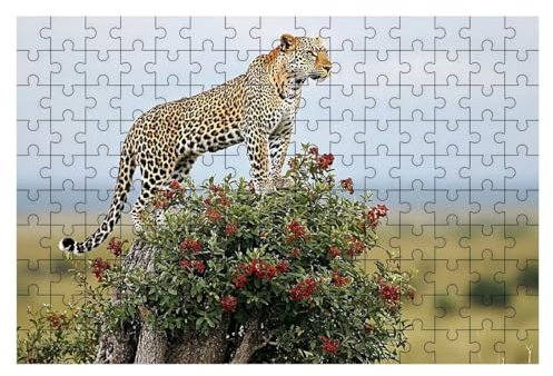Puzzle 1000 Teile Leopard, Anlage Puzzle 1000 Teile Erwachsene, Puzzel für Die Ganze Familie, Klassische Puzzles Geschicklichkeitsspiel, Holzpuzzle Geschenke für Frauen Geschenke für Männer -2443