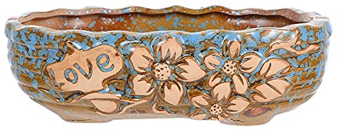 Happyyami 1 Pcs Céramique Succulent Pot de Cactus Planteur Pot de Bonsai Pots Vintage Céramique Fleur Superfique Pot Succulent Intérieur