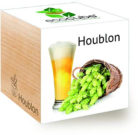 Ecocube Hops, kit de cerveza artesanal para cultivar tu propia cerveza, regalo sostenible e inusual (100% ecológico), planta en un cubo de madera, fabricado en Austria