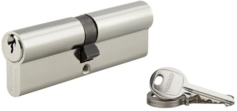 THIRARD - Cylindre à clé crantée 50 x 50 mm nickelé 3 clés