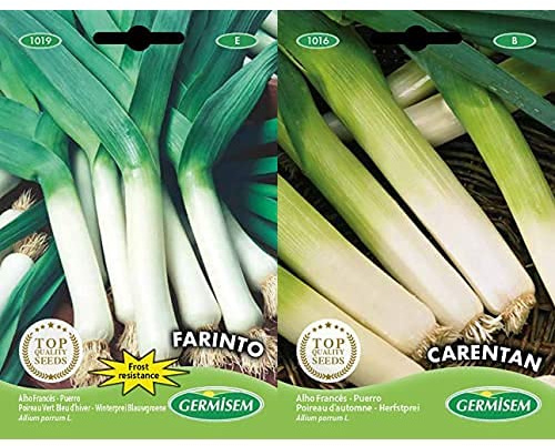 Germisem Farinto Graines de Poireaux 3 g EC1019 Multicolore+d'automne CARENTAN