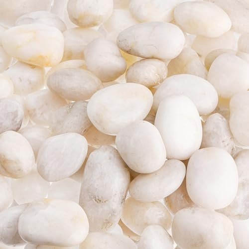 Dicunoy 6 lbs White Pebbles for Plant Pots, 1-2 Inch Decorative Polished Stones for Garden, Natural Smooth Decorative River Rocks for Landscaping, Vase Filler, Aquarium, Fireplace Bottom, Terrarium