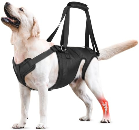 Imbracatura per cani grandi e medi, supporto posteriore per anziani, disabili, feriti e artritici nel recupero del legamento crociato anteriore