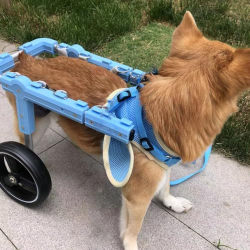 Hunderollstuhl Geländegängiger Hunderollstuhl mit 2 Hinterrädern, Hundefahrradanhänger für die Hinterbeine Kleiner Haustiere, Leicht Verstellbarer Mobilitätshilfewagen für Verletzte Katzen(SIZE L)