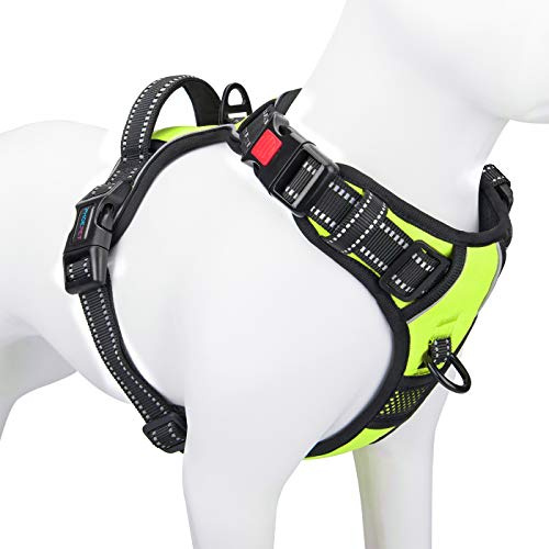 PHOEPET - Arnés antitirones para Perros Grandes, Chaleco Reflectante Ajustable con asa, 2 Anillas metálicas, 3 Hebillas, fácil de Poner y Quitar, XL, Verde