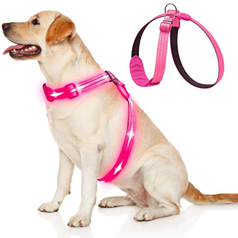 KOSKILL LED Hundegeschirr Wiederaufladbares Beleuchtetes Hundegeschirr Leuchtet Im Dunkeln LED Hundeweste Reflektierend Hundelichter für Nachtspaziergänge Pink M