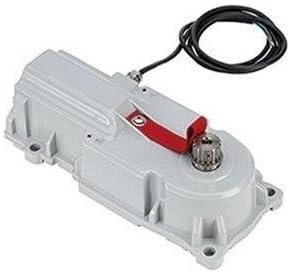 Dieffematic FAAC 770N Motore Interrato per Cancelli a Battente - Attuatore Elettromeccanico 230V, Invisibile, Ante 3.5m 500kg, IP67