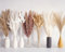 125 Pezzi di Bouquet di Erba di Pampas Secca, Decorazione Tavolo Boho, Fiori Secchi di Coda di Coniglio, Pampas Marrone, Pampas Bianca per Matrimoni, Decorazioni per la Casa