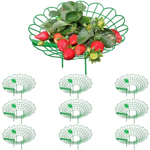 Mineup 10 Stück Erdbeerstützen Ständer, 33 x10cm Erdbeeren vor Staub und Schnecken schützen, Erdbeerreifer, Erdbeerregal, Erdbeer Reifer, Balkon Erdbeernetze, Schneckenschutz vor Fäulnis Schimmel