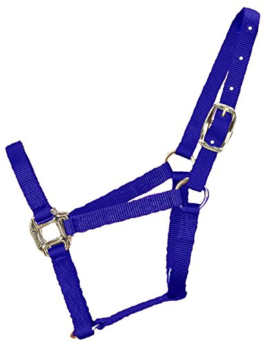 Hamilton Quality Horse Halter, 3/4 Triple Ply Nylon, Weanling or Large Pony, 200-300 lbs, Blue
