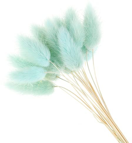 YIWOYI 50 Stück Ewige Blumen, getrocknetes Gras, langer Zweig, natürliche getrocknete Blumen, bunte Plüschblumen, Kaninchenschwanz, Fuchsschwanz, Gras für Heimdekoration (blau)