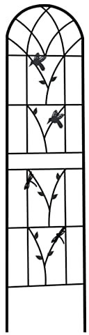 Gartengitter Aus Metall, Gartenzaun Aus Eisen, Rankhilfe Rankgitter Spalier Für Kletterpflanzen, Clematis, Rosen, Weinreben, Gemüse, Schwarz, Weiß (Color : A)