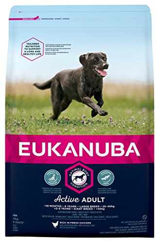 Eukanuba Premium Hundefutter für Hunde großer Rassen, Trockenfutter mit Huhn (1 x 3 kg)