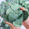 Oning Lot de 300 feuilles d'eucalyptus séchées, confettis biodegradables, 100% en vrac en vrac naturellement conservées en vrac d'eucalyptus vertes, confettis biodégradables pour désherbage
