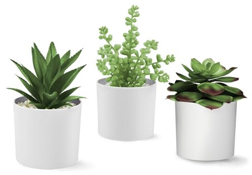 Hopewood Succulent Plants Artificial in White Pots Small Faux Potted Succulents Fake Plants in Vase Set of 3