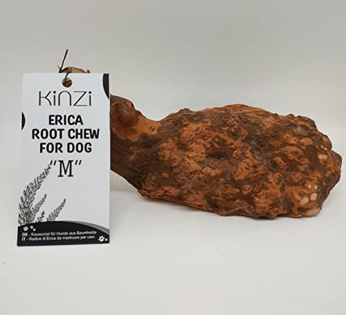 Kinzi Mordedor Raíz de Brezo para Perros Juguete Masticable Talla (M)