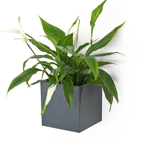 KalaMitica - Magnetic Cube, Cachepot, Marker Holder for Whiteboard, Organizer - Ø 9 cm, Gunmetal