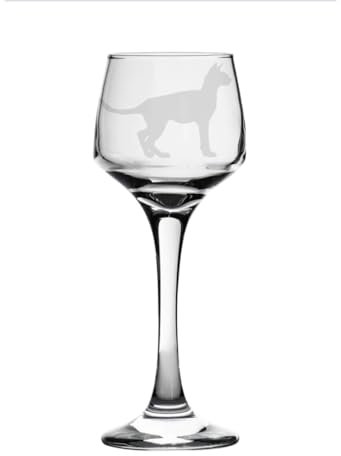 Sphynx Cat Engraved Sherry Glass, Animal Gift for Women, Gift for Men
