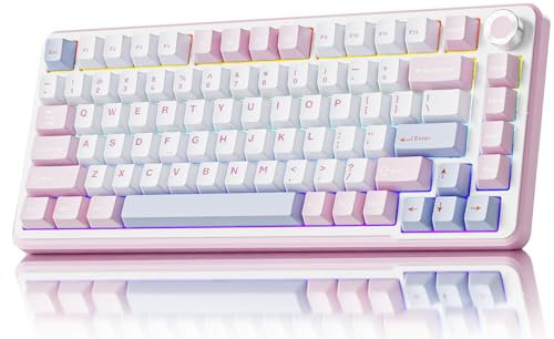 EWEADN GS75 Clavier mécanique sans fil, 75 % joint de clavier de jeu, clavier personnalisé interchangeable à chaud avec RVB, bouton, touches PBT BT5.0/2.4G/USB-C clavier crémeux (interrupteur