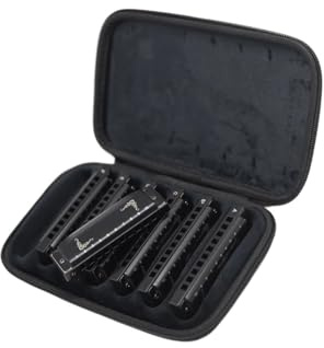 10-Loch-Blues-Mundharmonika-Set Mit 7 Tasten Und Etui Für Anfänger Professionelle Erwachsene