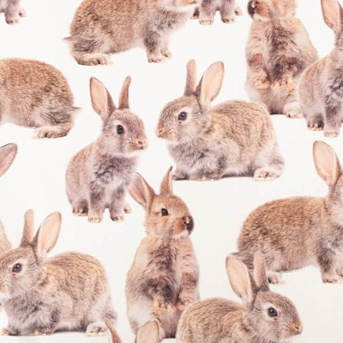 SCHÖNER LEBEN. Baumwollstoff Dekostoff Halbpanama Digital Rabbit Family Hasen 1,40m