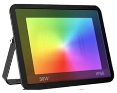 LED strålkastare utomhus, TUYA RGB Floodlight Smart APP Röststyrning CCT 3000-6500K 30W 50W 100W AC for trädgårdsfest utomhusbelysning,Strålkastare för Trädgård(30W)