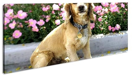 Diapositiva sul molo con bel tramonto panorama, 80 x 40 cm, stampa digitale di alta qualità con cornice