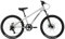 FabricBike Terra - Alu Mountainbike Jugendfahrrad 24 Zoll ab 8, 9, 10 und 11 Jahre, 7-Gang-Schaltung, Scheibenbremse, Federgabel, Kinder Fahrrad (Polished)
