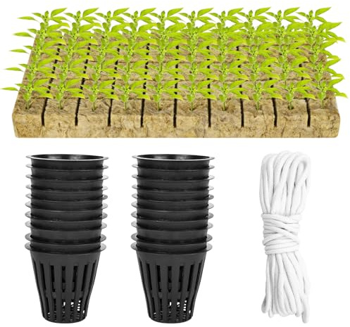 100 PCS Netzbecher Töpfe, Hydrokultur Korb Set, inklusive 50 2 Zoll Netzbechern mit Schlitzmaschen und 50 Steinwolle Pflanzwürfel Set mit 10 m Selbstbewässerndem Docht für Innen und Außenbereich
