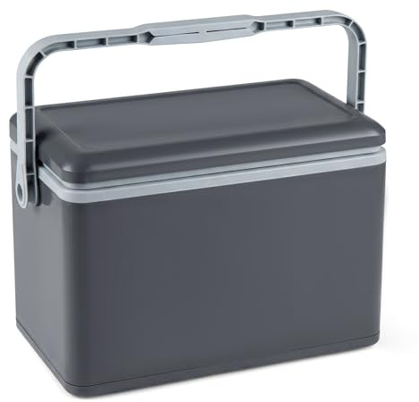 COSTWAY 12L/16L/21L/41L Insulated Cool Box | Hard Cooler Ice Chest Box for Cold/Hot Food & Drink with Handle, Portable Leak-Proof Cooler for Camping, Fishing, BBQ, Beach